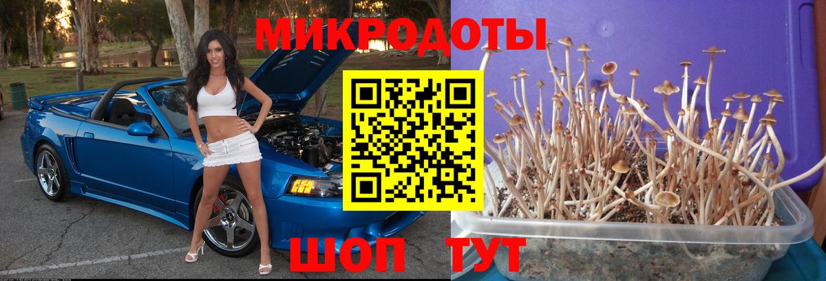 наркошоп  Галлюциногенные грибы ЛСД  Вход с VPN  Хасавюрт  Псилоцибиновые грибы GOLDEN TEACHER 
